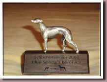 BereniceTrophee2008JPGall