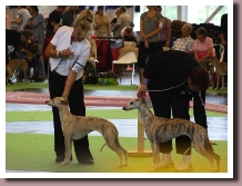 BirdieMondialeParisJuge2011