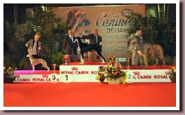 BlueSpringsElectraDouai2014b