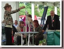 BlueSpringsElectraWindsor2013c