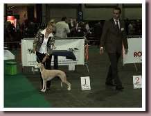 BlueSpringsElectraCOURTRAI2012