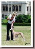 BlueSpringsELEKTRAEurosighthound2010