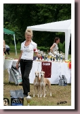 BlueSpringsELEKTRAndCoffeeAndCreamEurosighthound2010