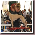 BlueSpringsGazelleMaubeuge2015