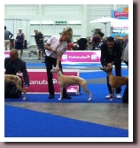 BlueSpringsGeoffreyBSGeneve2013a