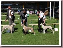 BlueSpringsGeoffrey082012