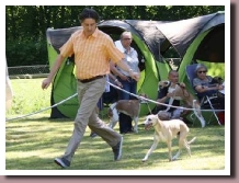 BlueSpringsIndigoTuttleben2014a