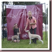 BlueSpringsIrishMistBadHomburg2014