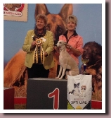 BlueSpringsIrishMistMechelen2014