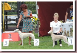 BlueSpringsIRISHMISTstahile2015