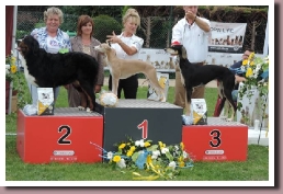 BlueSpringsJIVENCHYstahile2015b