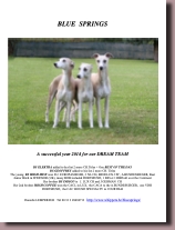 BlueSpringsWhippets2014