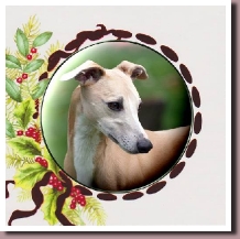 CeasarXmas