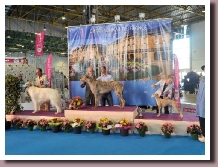 ChampionntdeFranceMetz2012a