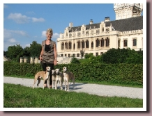 chateauGraffenegeuropasighthound2010a