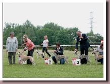 ClubmatchBeringen2011