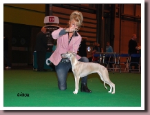 CoppeliaStandCrufts1