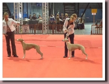DOUAI12102013a