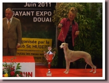 DOUAI2011PODIUMrect