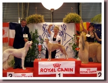 Doui09podium