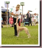ElectraWindsor2011BestYearling