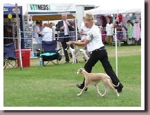 ElektraBestyearlingWindsor2011b