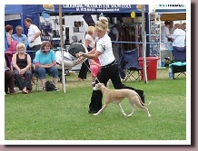 ElektraBestyearlingWindsor2011c