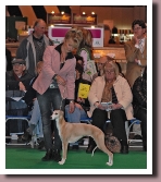 ElektrastandingCrufts