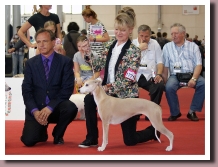 ElektraWorldDogShow2013a
