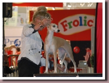 EUROPASIEGER2011a