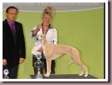 EUROPASIEGER2011b