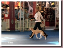 EUROPASIEGER2011c