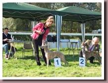 Eurosighthound08sm
