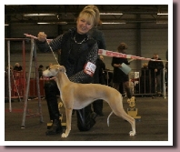 gand2012