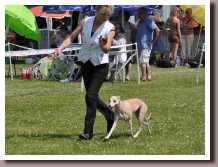 GazelleLillers2013b