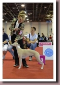 GeoffreyWorldDogShow2013