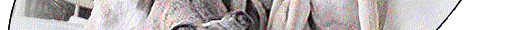 homeBG