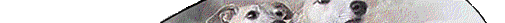 homeBG