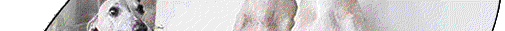 homeBG
