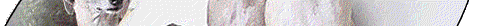 homeBG