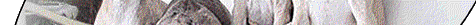 homeBG