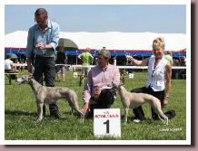hulten2010
