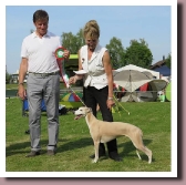 HUNSTETTEN2014Elektra2