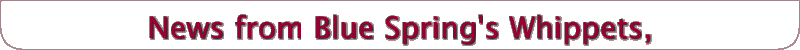 News from Blue Spring's Whippets,