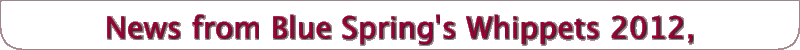 News from Blue Spring's Whippets