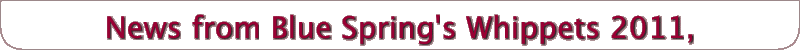 News from Blue Spring's Whippets