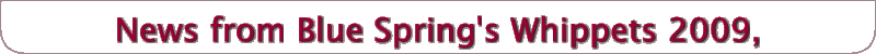 News from Blue Spring's Whippets