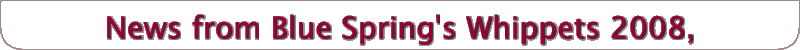 News from Blue Spring's Whippets
