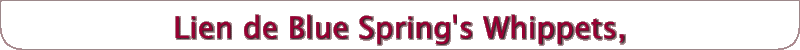 Lien de Blue Spring's Whippets,