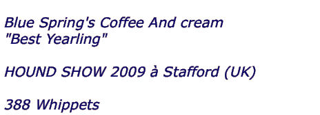  Blue Spring's Coffee And cream